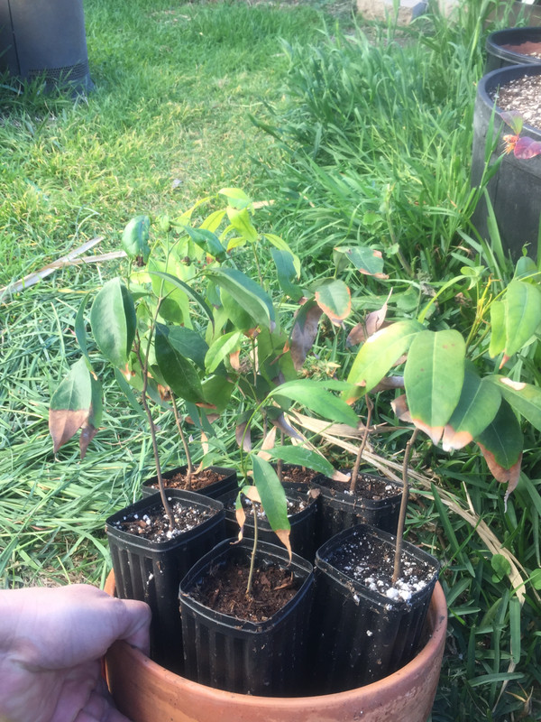 85917FA7-034E-4D7B-8DC7-A8C9CD43626E