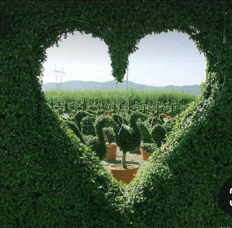 Screenshot_20240212_001947_Pinterest