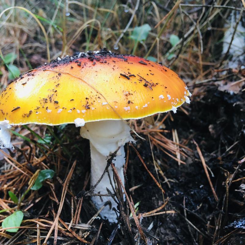 56A9A54D-E11D-4D21-83E8-406AA6C59E2E