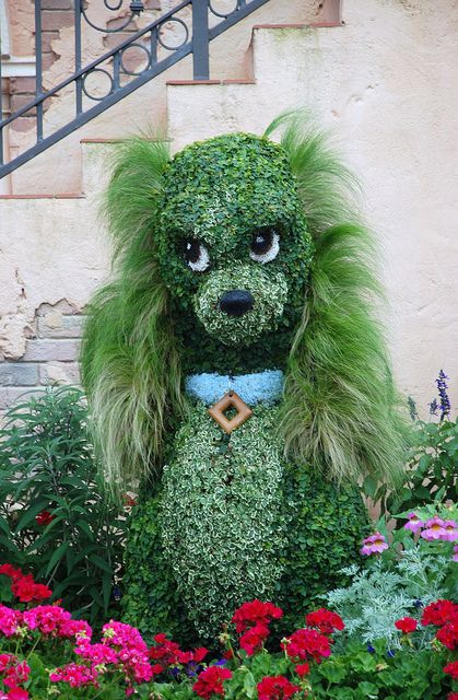 Greendogjpg.jpg