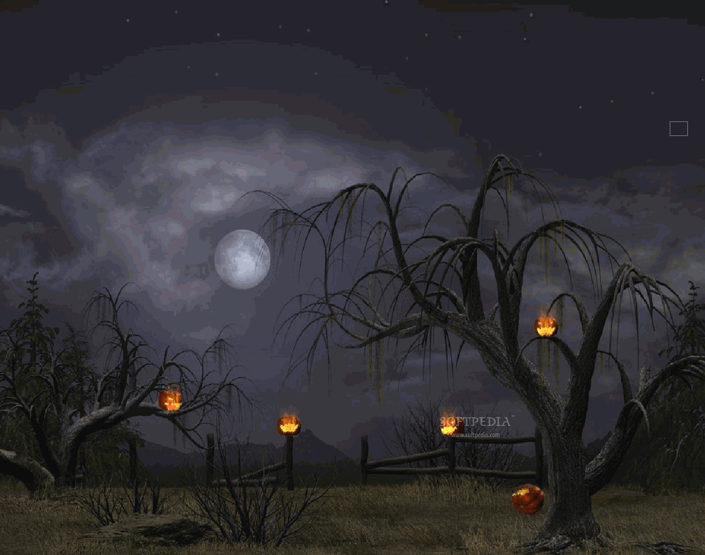 Halloween-Night-Animated-Wallpaper-1