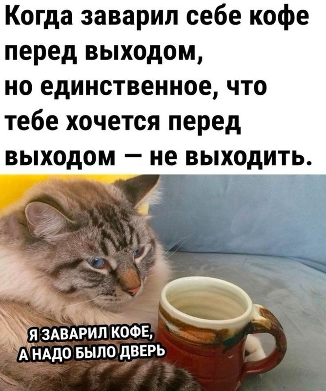 04d293ce6c9908565a2d758af6ead9c7.jpg