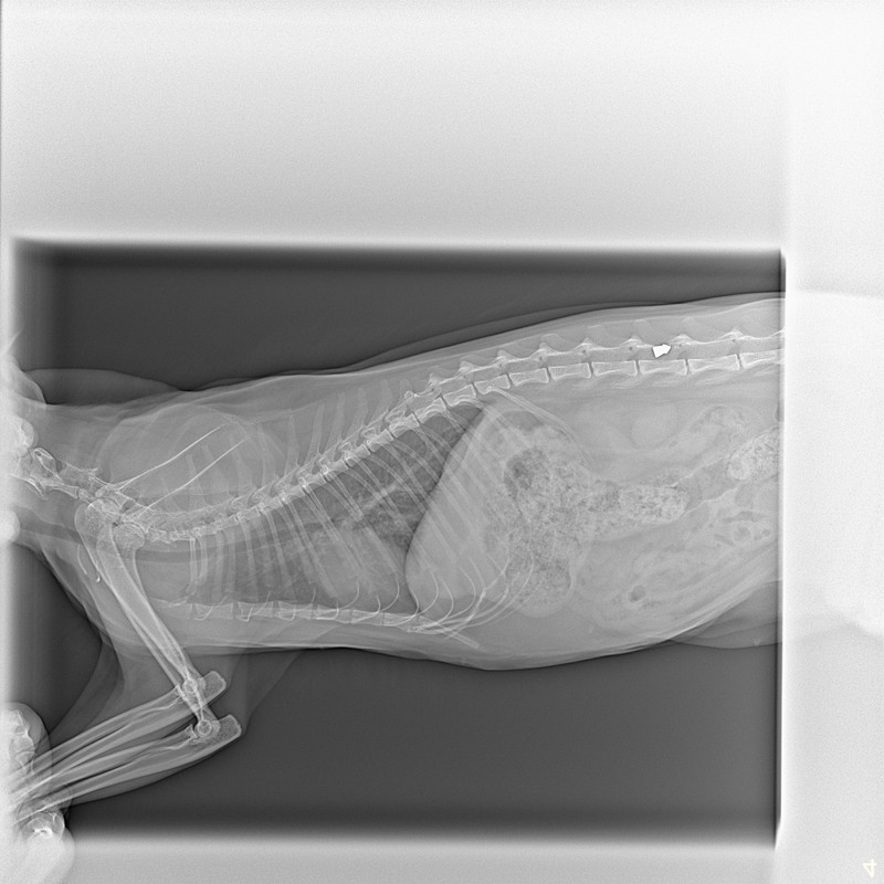 image1676086192982