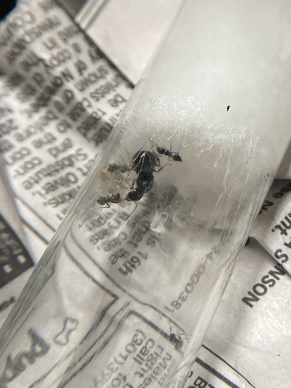 B5FF3D81-BF2B-4927-8939-53481ED865AB