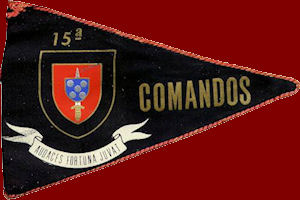 15CCmds