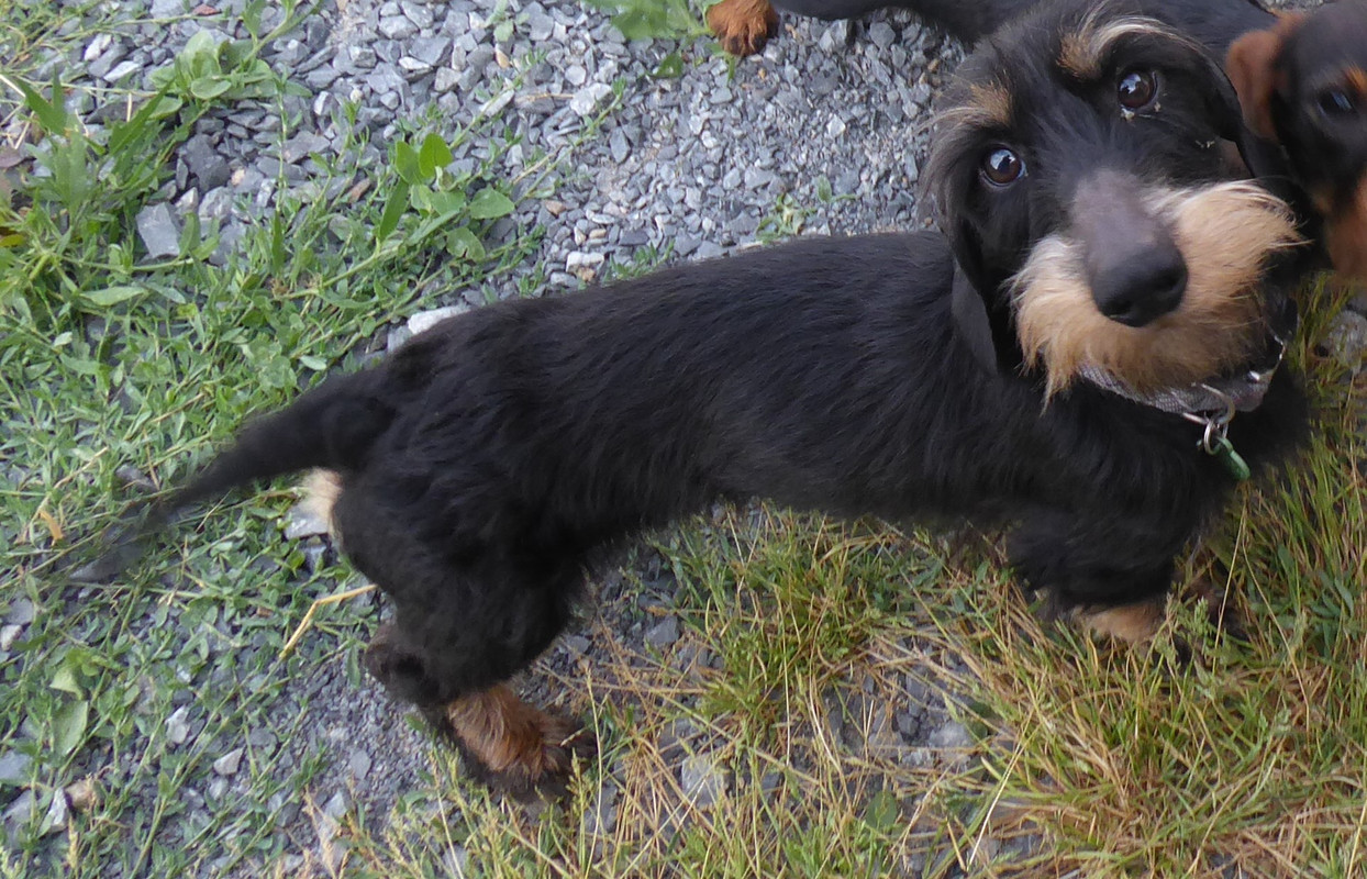 [Image: P1030220.jpg]