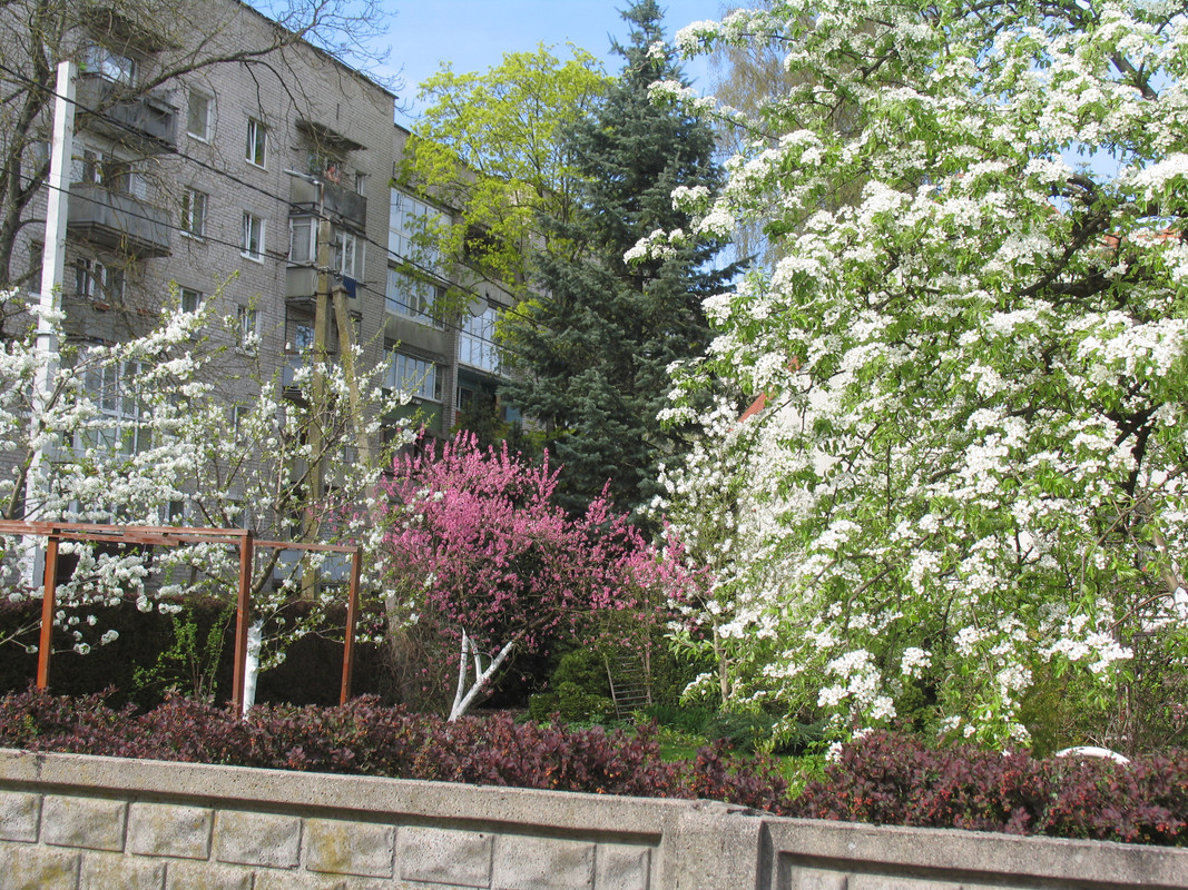 11 апреля 2024 005