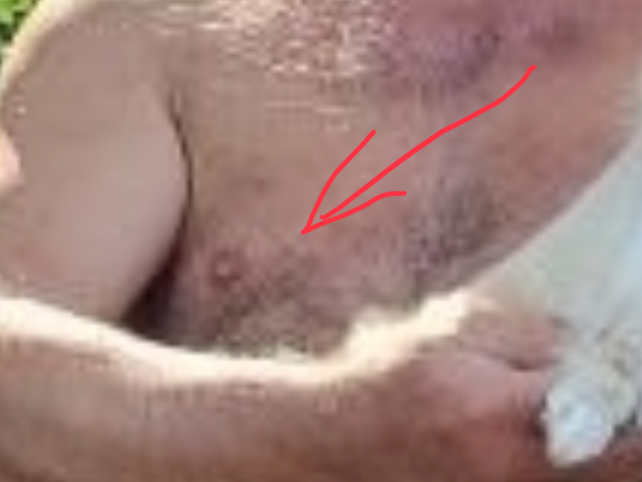 [Image: IMG-2959.jpg]