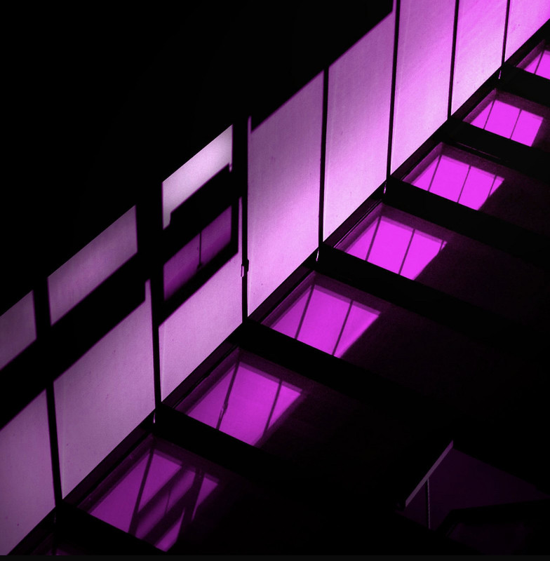 purple-windows-dis1.jpg