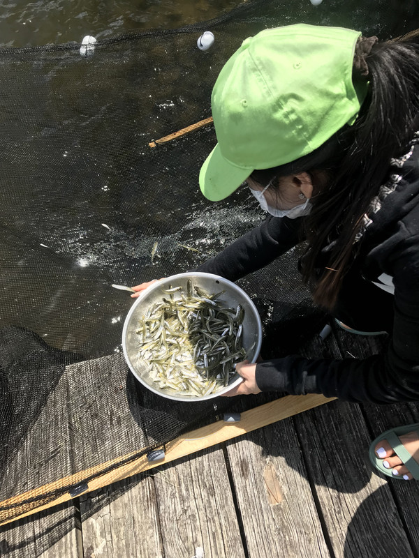 5CCBEEBC-1B63-47D4-8F1C-86301811B022