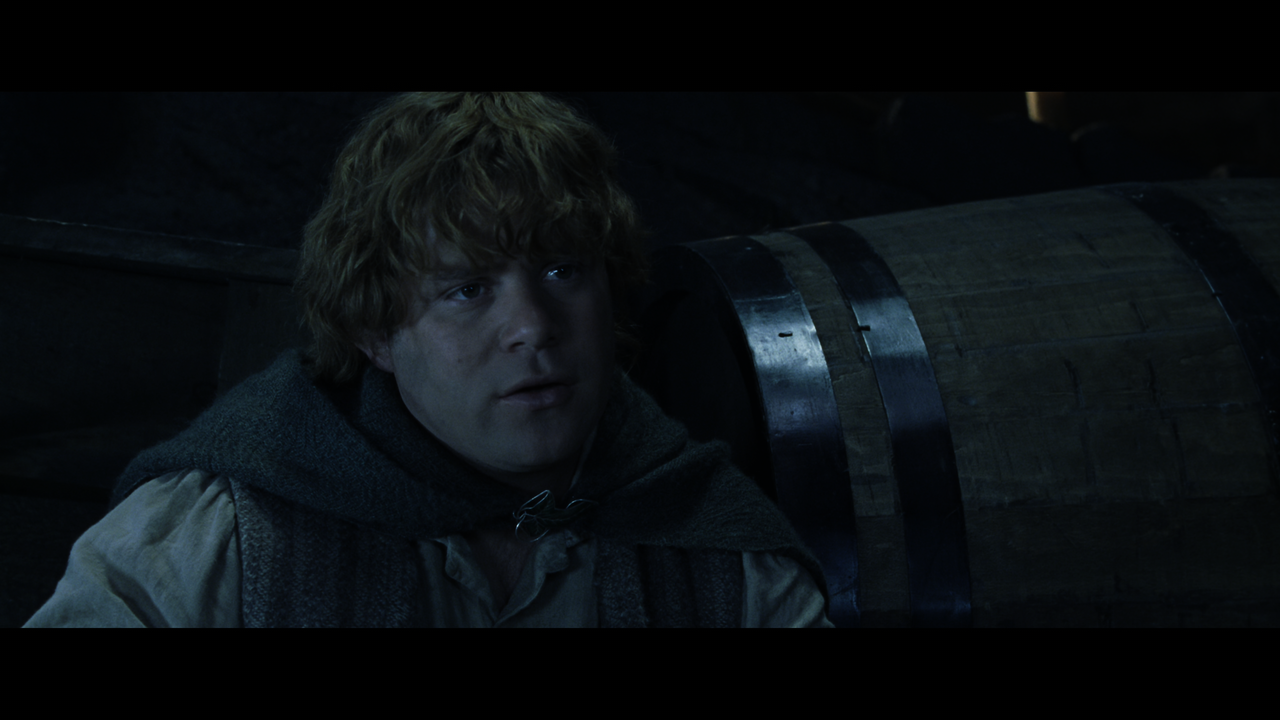 The Lord of the Rings- The Two Towers (EXT.) PT. 2.mkv_snapshot_00.41.05_[2020.12.10_19.08.48]