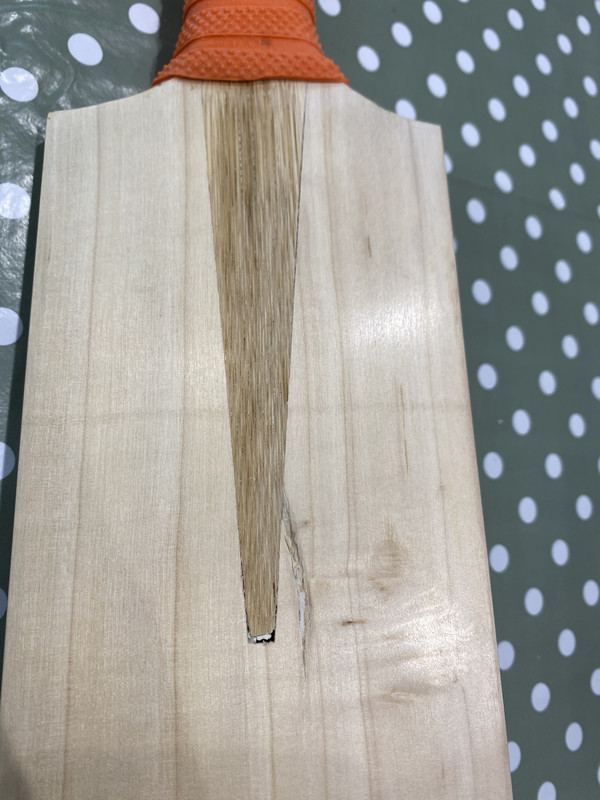 715F58C9-64EF-4452-A4C3-D39C2EEC5F64