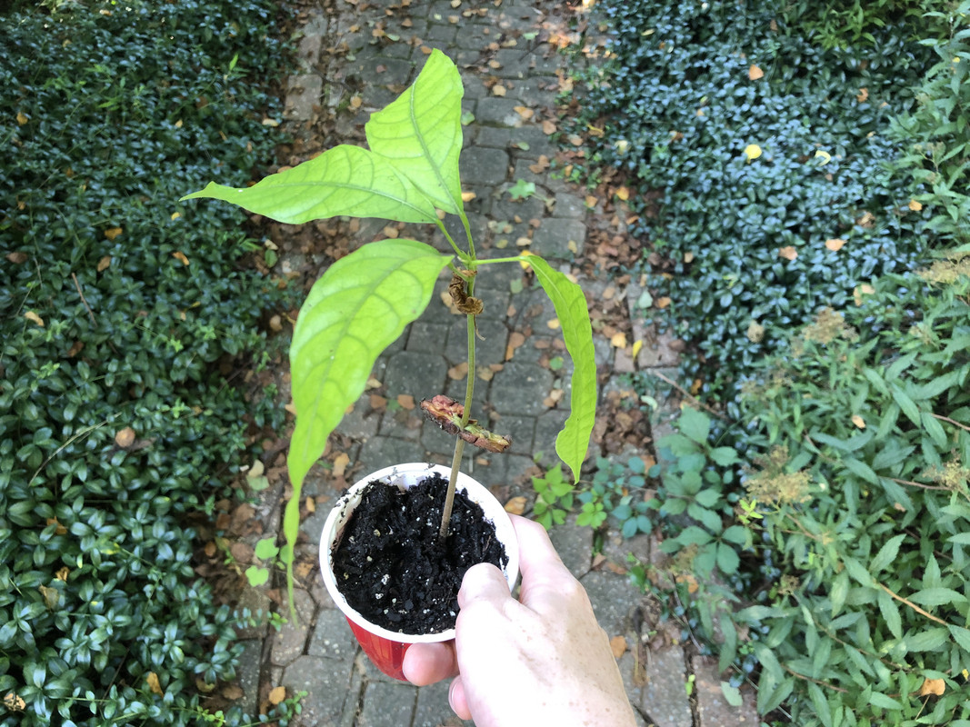 23D9E09A-C41D-45FB-873F-2F142321049A