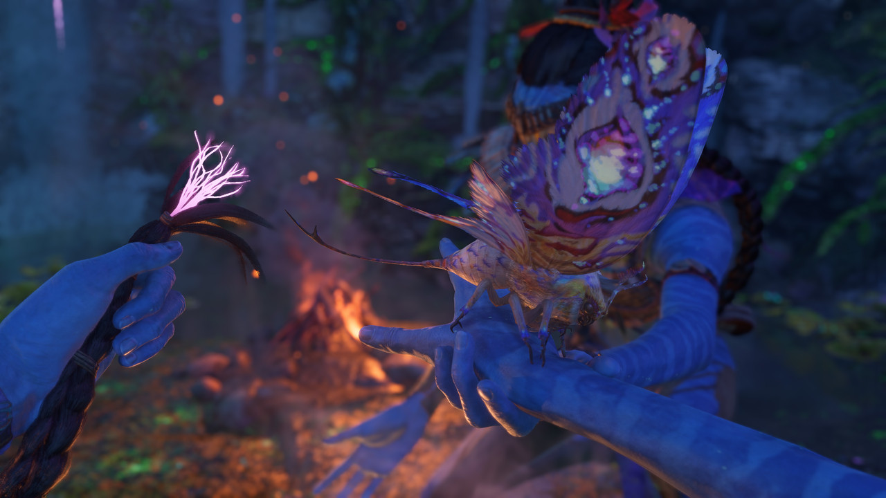 afop 2026 01 09 03 52 42 946