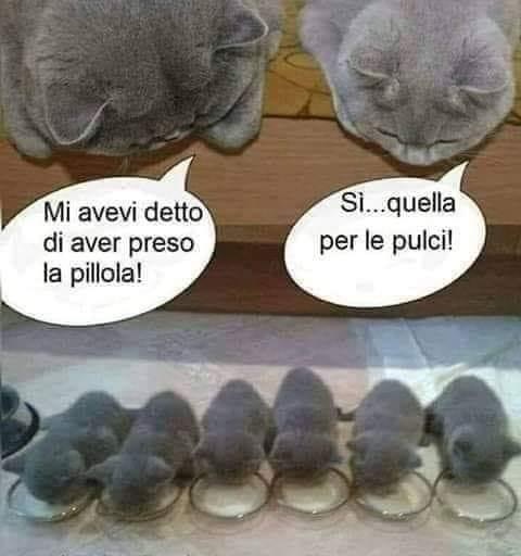 CF718504-318B-48B8-96DF-FD0CD7E242FB