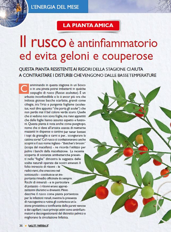 Sal Nat Dic 2021 (5)