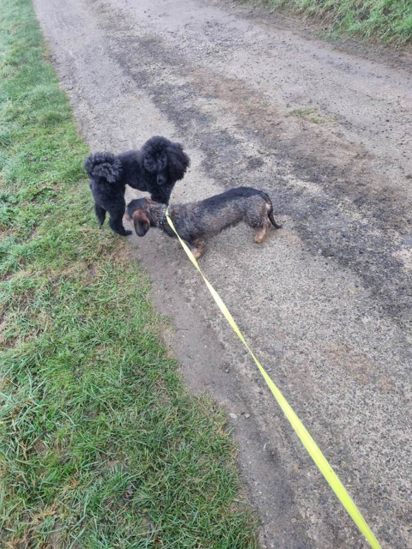 [Image: image000000-155.jpg]