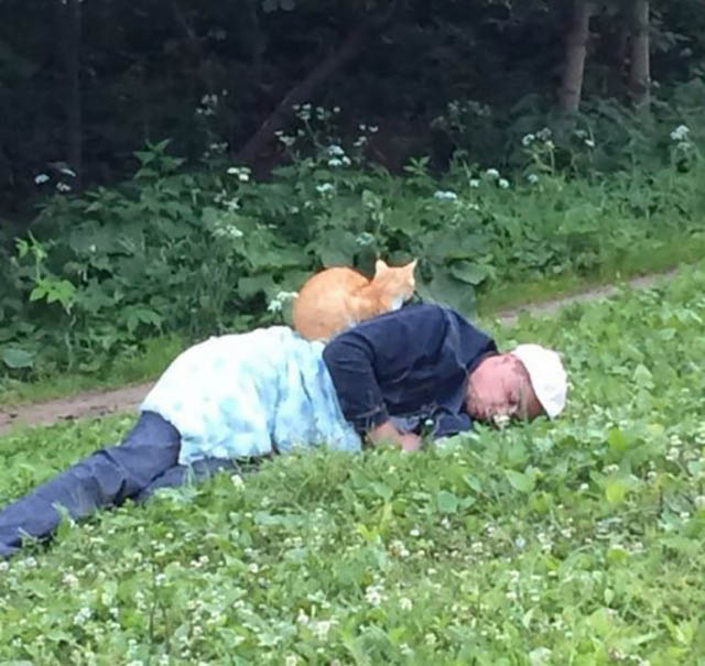 14 уморительных фото кошек, которые обожают отдыхать в «мегаудобных» местах