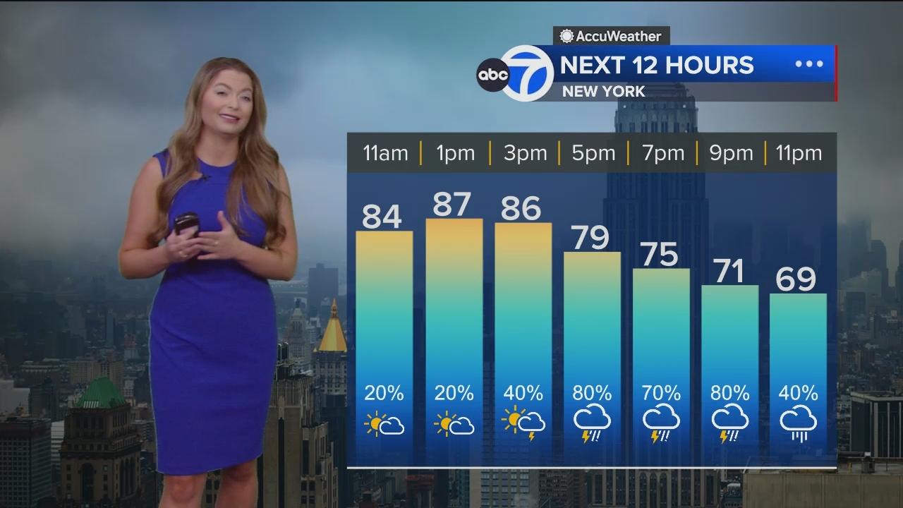 Eyewitness News Mornings at 10_20240614_15001600.ts_snapshot_00.26.07.193