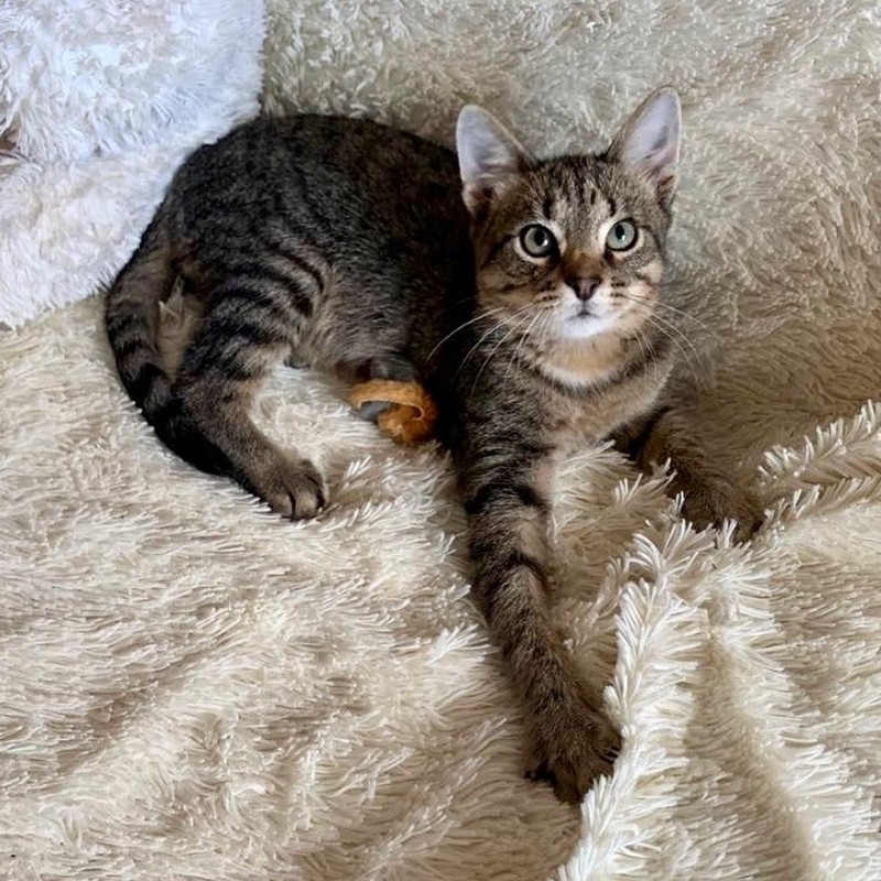 3C2783DD-5133-457C-BD97-A637F2E9CB67