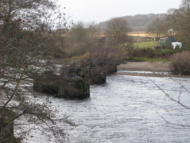 Bridge_piers_of_the_old_Border_Counties_Railway_viaduct_(3)_-_geograph.org.uk_-_1057552
