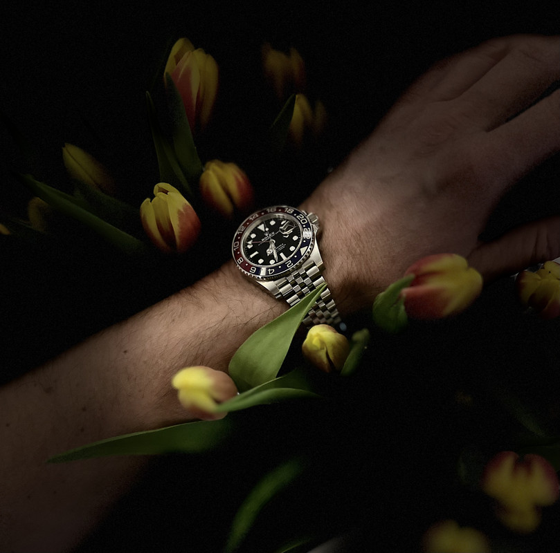 731EBE5B-D1F1-4C3B-94B6-BF126EFCA03C