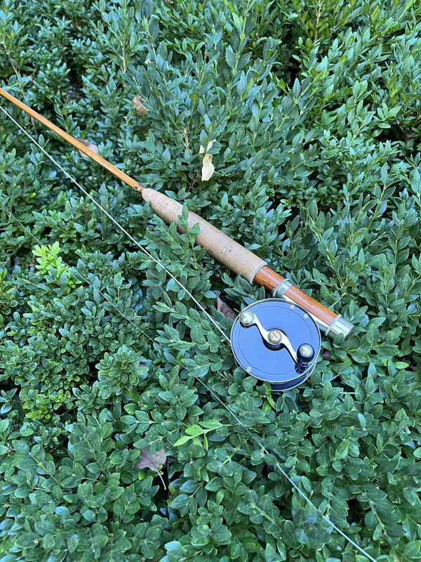 04E98340-B628-41E8-909B-6D494EC89030