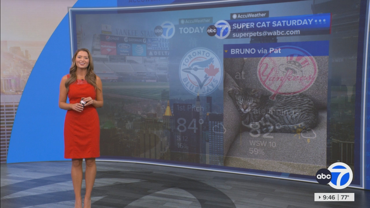 Eyewitness News This Morning_20250906_14001500.ts_snapshot_47.08.040