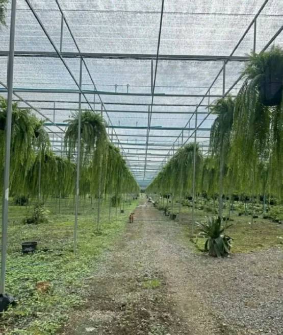 w1200-2025-05-07-T125056-266