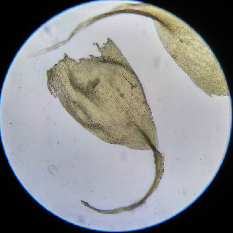 IMG 20250614 205324 HDR