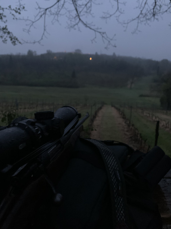 4701AACF-48B0-4409-A4DF-8DB29607A631