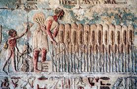 Ancient Egyptian Agriculture and Trade