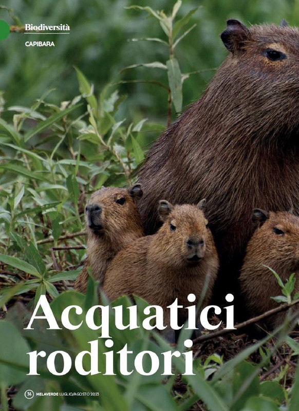 melaverde Lug-Ago 2023 (5)