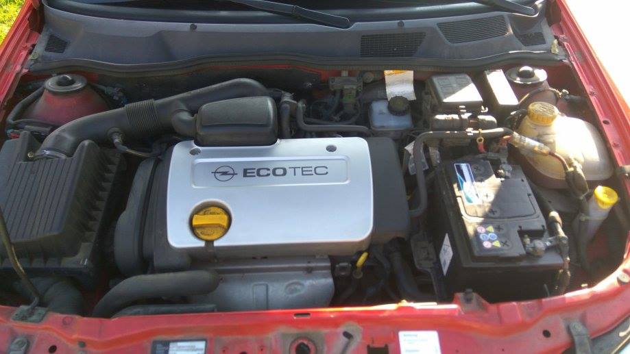 46778400_522470518228898_7986600023167074304_n (1)