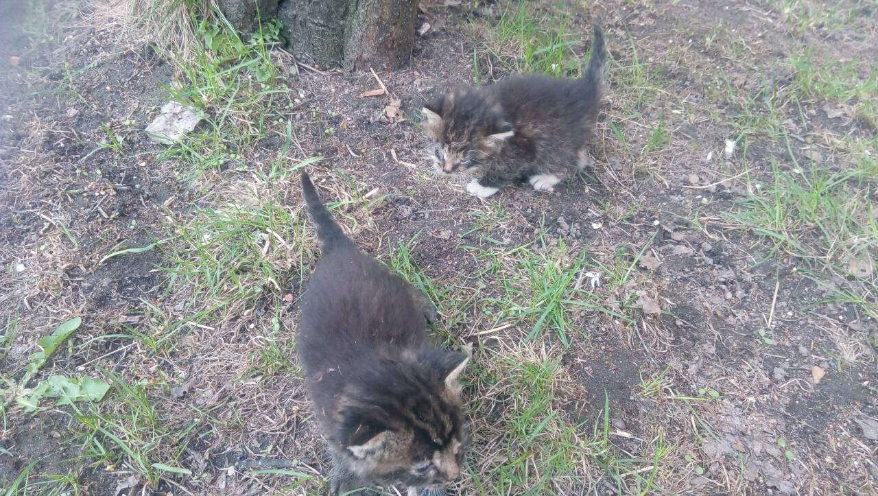 537DC772-B301-4C78-AB5F-E6381187BFC5