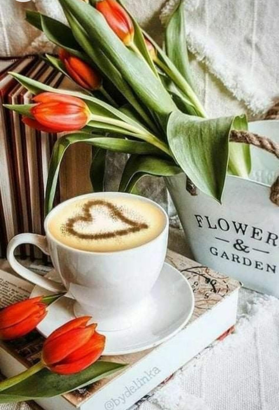 Screenshot_20221214-000047_Chrome