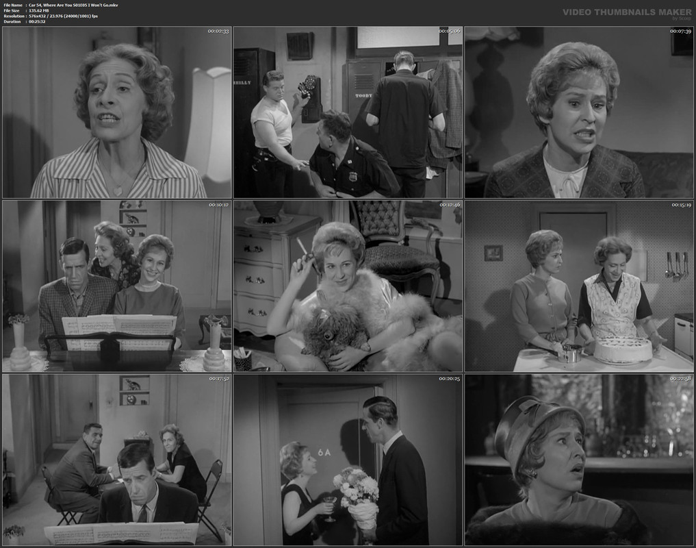 Car 54, Where Are You S01E05 I Won't Go.mkv