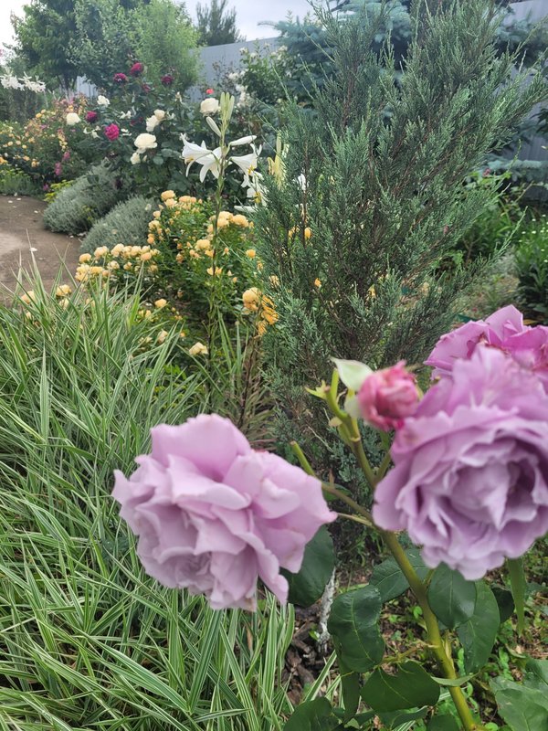 Шарль е Голль