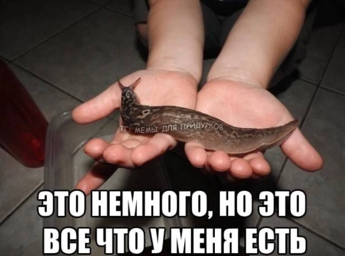 18ea031d2c7729f28324577156dddd1e