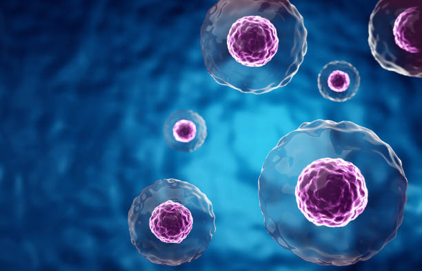 stem cell therapy in Mexico