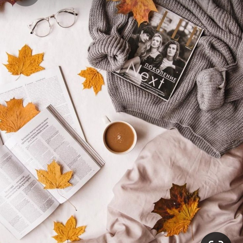 Screenshot_20231015_205213_Pinterest