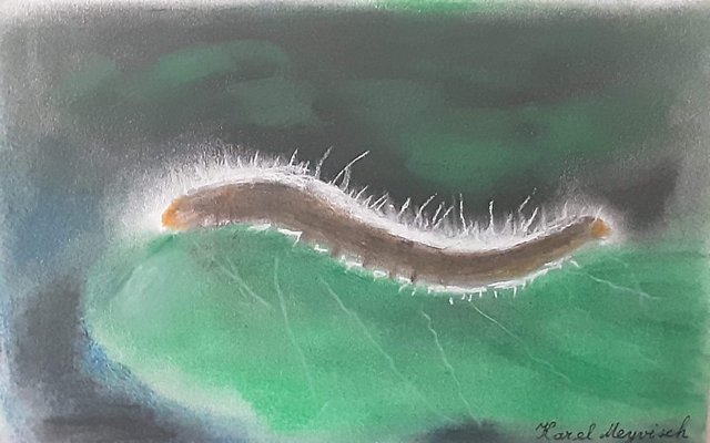 184421778-310300573992507-315646153540216454-n