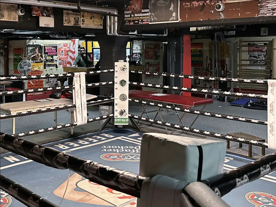 México y las artes marciales mixtas: el espectáculo de la UFC