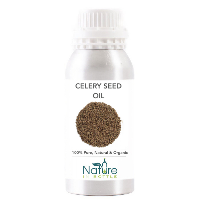 Celery Seed Essential Oil Organic Apium Graveolens India