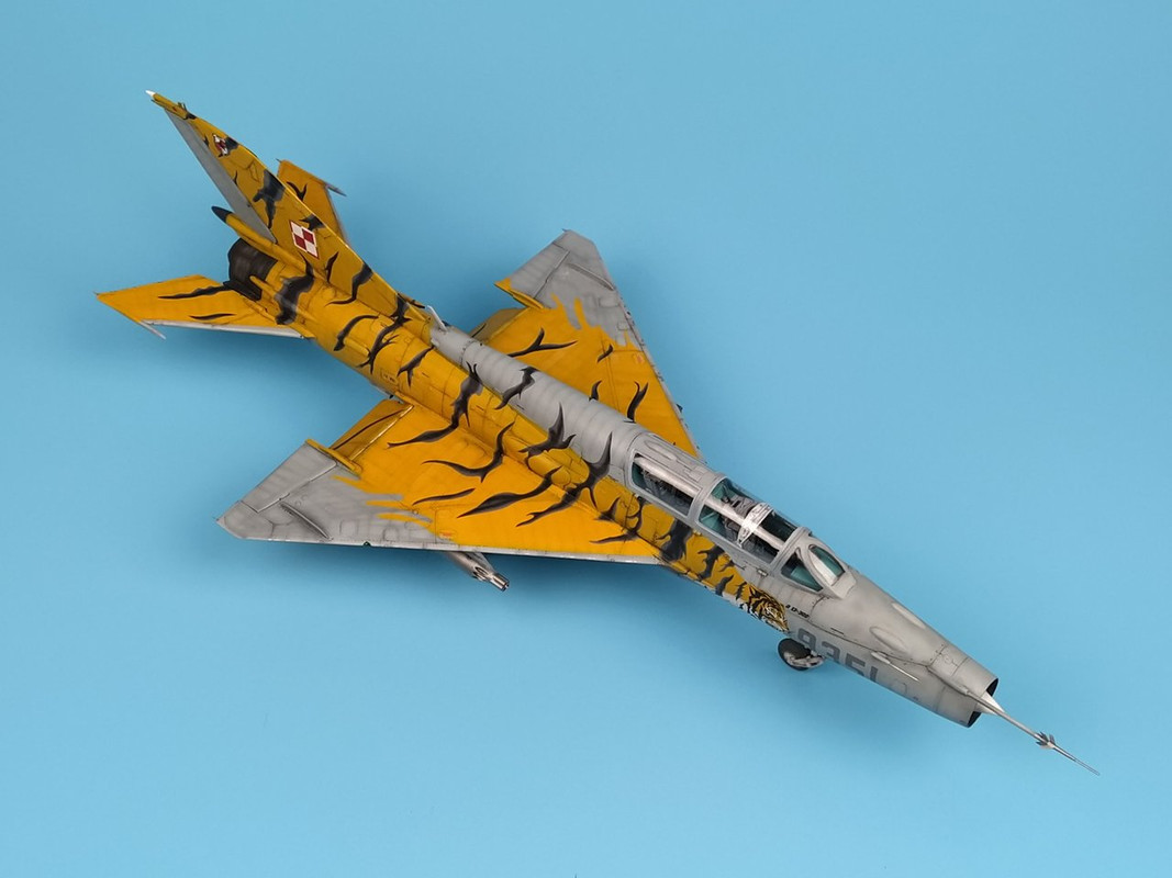 1_IMG_20250105_114012