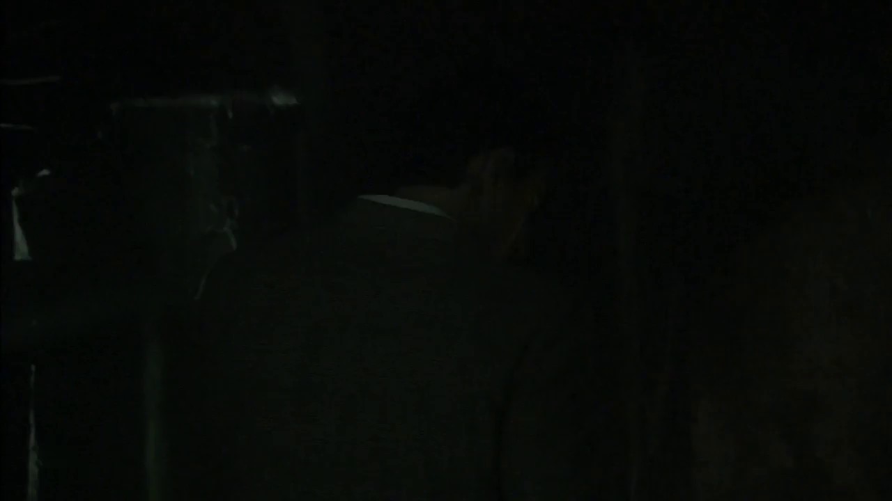 Rise-of-the-Gargoyles-2009-Hindi-English-WEB-DL-720p-x264-AVC-AC3-2ch-mkv-0000