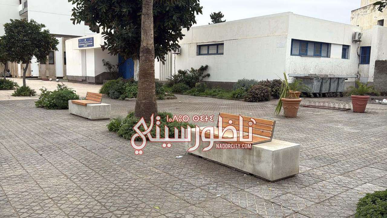 623124348-829240733502913-4211893093048080237-n