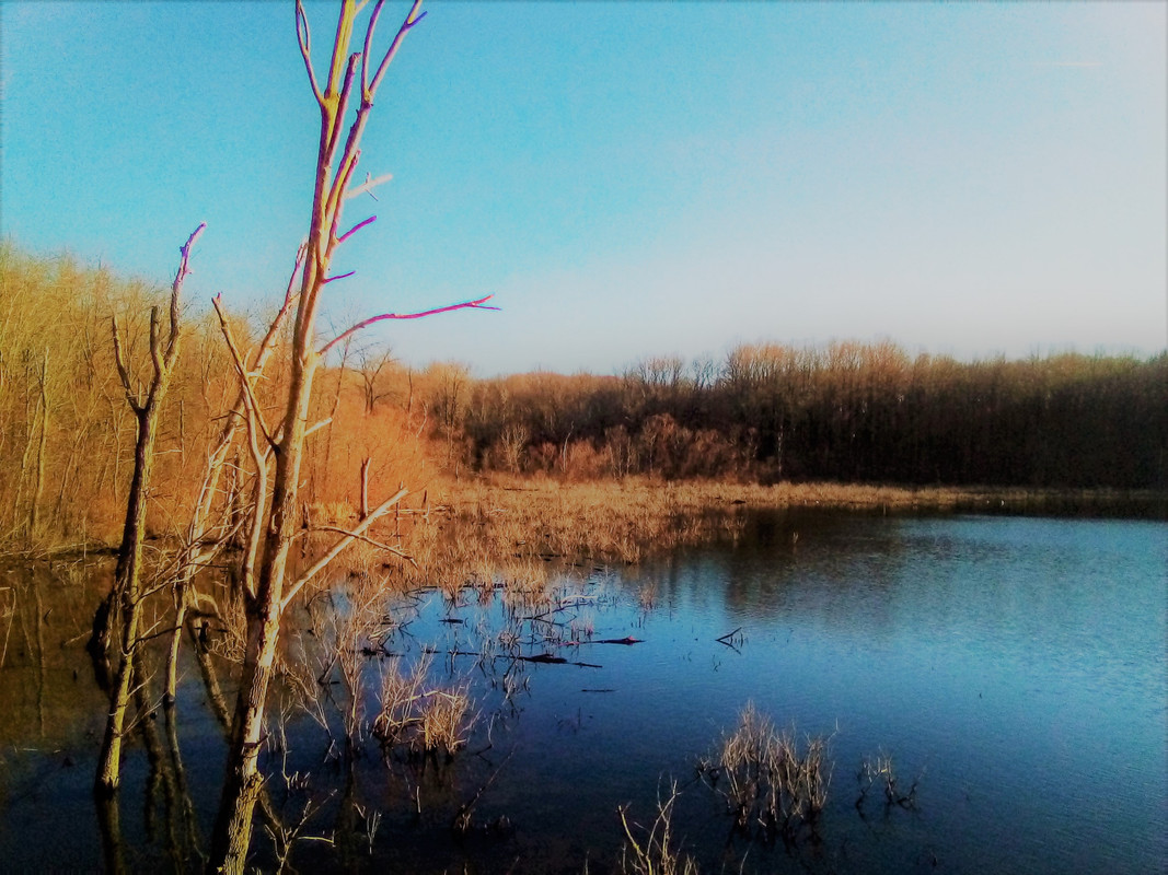 IMG_20200229_161444 (2)