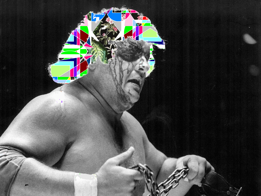 FFFI.png