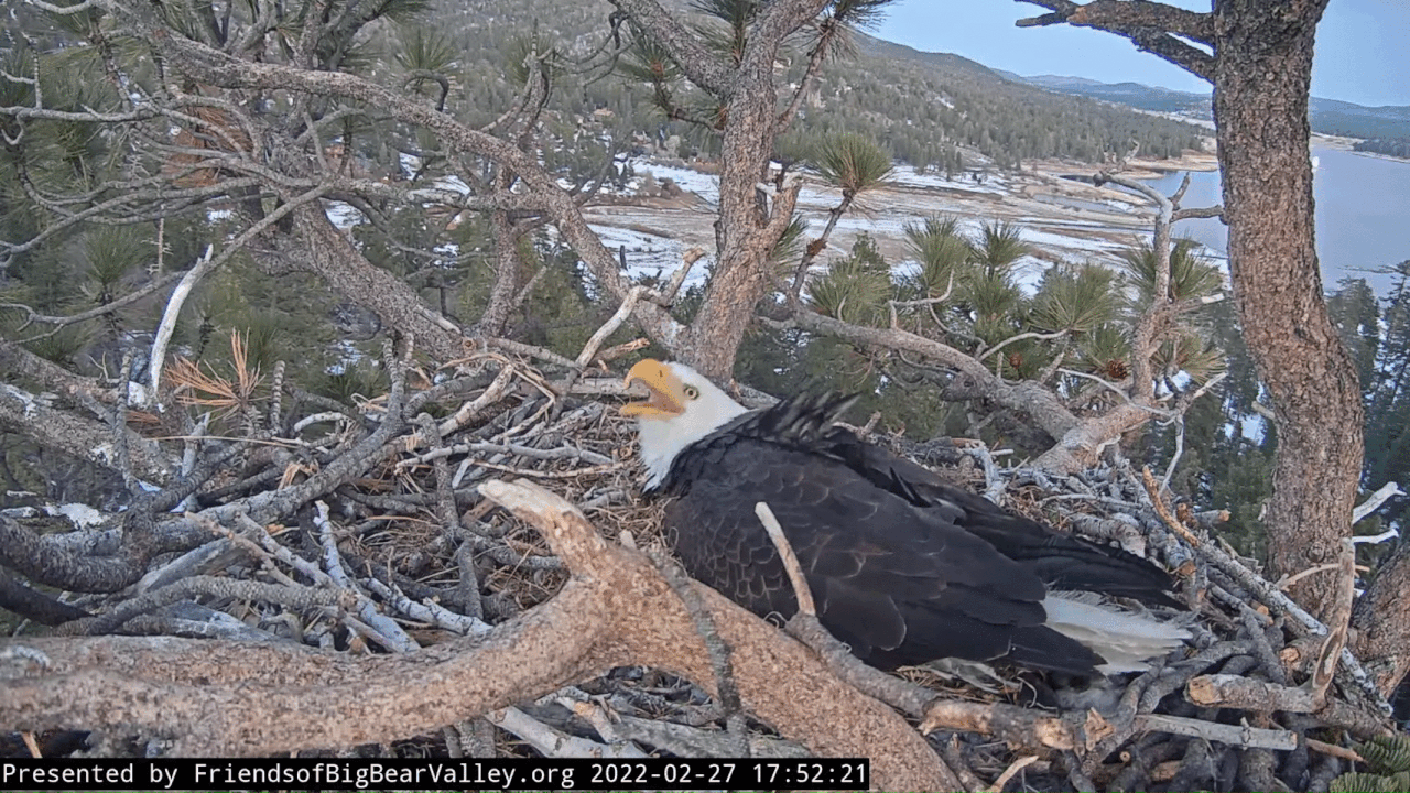 Webp.net-gifmaker (1)